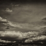 DSC04514_R