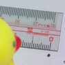 マクロな世界①　ネジ
