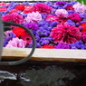 花まいり