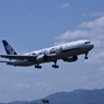 ANA 537