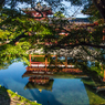 寺院：5