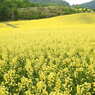 DSCN3260