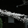 上野の桜