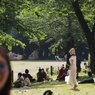 ゴールデンウィークの公園　２