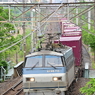 EF66-113 2066レ