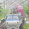 EF66-113　2066レ