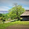 茅葺小屋と大山