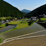 岩座神の棚田。