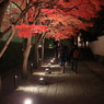 帰路なう