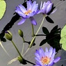 IMG_1965