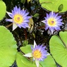 IMG_1937