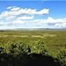 釧路湿原のパノラマ