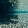 May Water 1