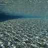 May Water 2