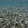 May Water 3