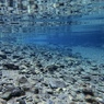 Quiet Water 1