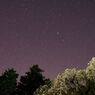 星の数だけ