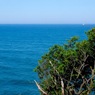 写真指編：五浦５：Blue
