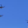 「青色」飛来！　JGSDF ヘリ　ブラックホーク　UH-60JA 