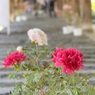 IMG_1373