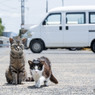 おじさん、おやつ持ってる？