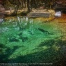 Benten pond☆