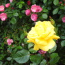 DSCN3283