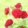 DSCN3312