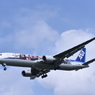 ANA 561
