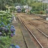 拝啓 梅雨空の候、桜木駅
