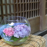 水中花