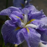 P1100810