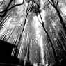 IMG_2249