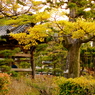 nanshuji #2