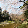 小石川後楽園にて①