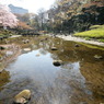小石川後楽園にて④