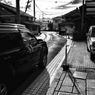 路上の視野