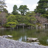 京都御所中庭で