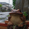 雨っぽい系③　カエル