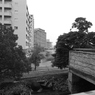 日常に横たわるアート