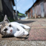 休憩だ～