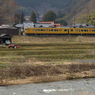 のどかな農村風景