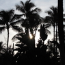 HAWAI1