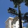 HAWAI9