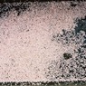 桜の花びら