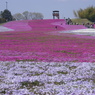 公園の端から