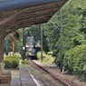 DAY OUT WITH THOMAS 田野口1