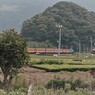 DAY OUT WITH THOMAS 抜里3