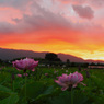 夕焼けAB