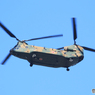 「スカイ」飛来・陸上自衛隊　JGSDF ヘリコプター　チヌーク　